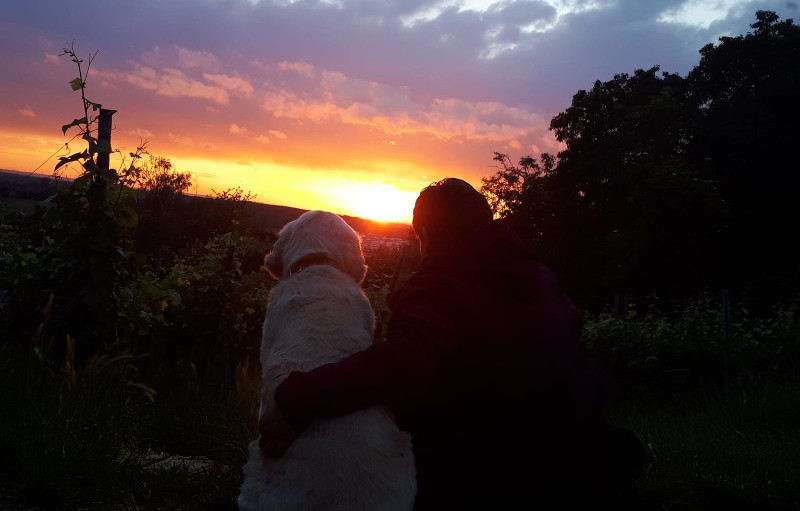 Gemeinsam in eine schmerzfreie Zukunft!